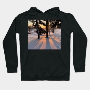 Sunset in the Snowy Forest Hoodie